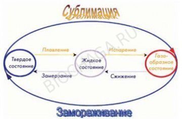sublim-chaga -spread